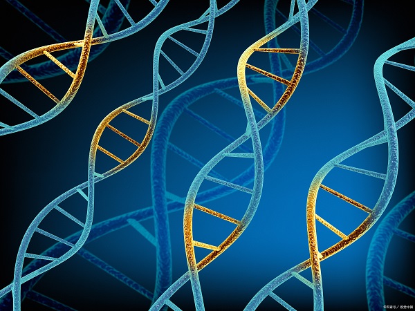 多肽文库合成 多肽文库合成