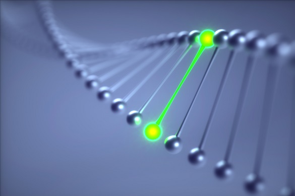 生物合成法 生物合成法